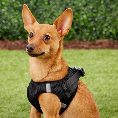 Show full view: Frisco Small Breed Soft Vest Step In Back Clip Dog Harness, Black, 12 to 15-in chest slide 2 of 8