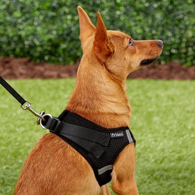 Show full view: Frisco Small Breed Soft Vest Step In Back Clip Dog Harness, Black, 12 to 15-in chest slide 6 of 8
