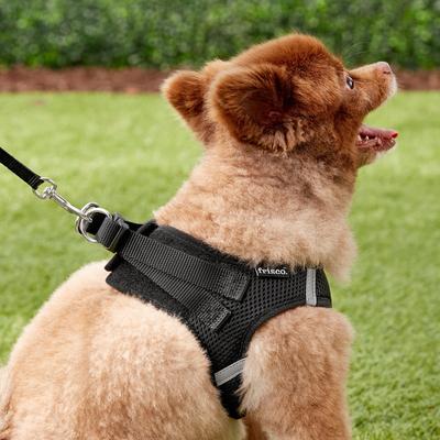 Show full view: Frisco Small Breed Soft Vest Step In Back Clip Dog Harness, Black, 15 to 18-in chest slide 6 of 8