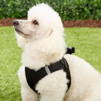 Show full view: Frisco Small Breed Soft Vest Step In Back Clip Dog Harness, Black, 18 to 21-in chest slide 3 of 9
