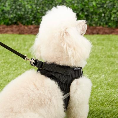 Show full view: Frisco Small Breed Soft Vest Step In Back Clip Dog Harness, Black, 18 to 21-in chest slide 7 of 9