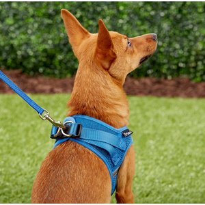 Frisco Small Breed Soft Vest Step In Back Clip Dog Harness, Blue, 12 to 15-in chest