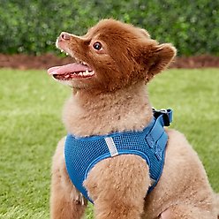 Frisco Small Breed Soft Vest Step In Back Clip Dog Harness, Blue, 15 to 18-in chest slide 2 of 6