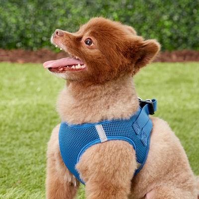 Show full view: Frisco Small Breed Soft Vest Step In Back Clip Dog Harness, Blue, 15 to 18-in chest slide 2 of 8