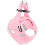 Best Dog Harnesses for Dachshunds
