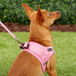 Frisco Small Breed Soft Vest Step In Back Clip Dog Harness, Pink, 12 to 15-in chest