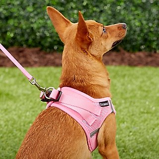 Frisco Small Breed Soft Vest Step In Back Clip Dog Harness, Pink, 12 to 15-in chest slide 6 of 6