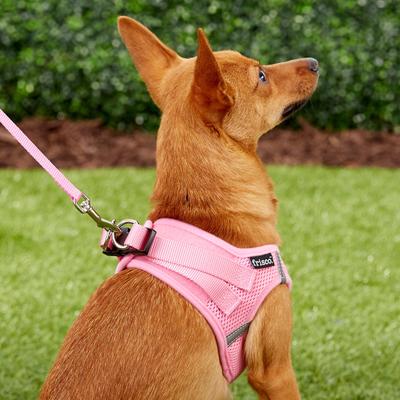 Show full view: Frisco Small Breed Soft Vest Step In Back Clip Dog Harness, Pink, 12 to 15-in chest slide 6 of 8