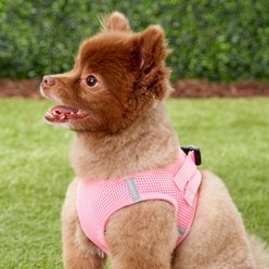 Frisco Small Breed Soft Vest Step In Back Clip Dog Harness, Pink, 15 to 18-in chest slide 2 of 6
