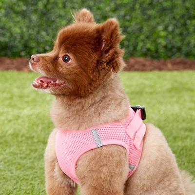 Show full view: Frisco Small Breed Soft Vest Step In Back Clip Dog Harness, Pink, 15 to 18-in chest slide 2 of 8