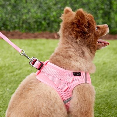 Show full view: Frisco Small Breed Soft Vest Step In Back Clip Dog Harness, Pink, 15 to 18-in chest slide 6 of 8