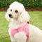 Show in main carousel: Frisco Small Breed Soft Vest Step In Back Clip Dog Harness, Pink, 18 to 21-in chest slide 2 of 8