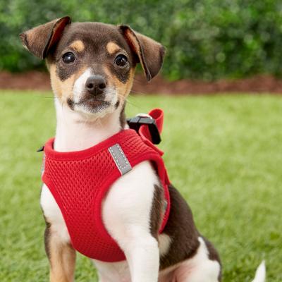 Show full view: Frisco Small Breed Soft Vest Step In Back Clip Dog Harness, Red, 11 to 13-in chest slide 2 of 8