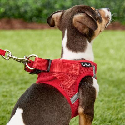 Show full view: Frisco Small Breed Soft Vest Step In Back Clip Dog Harness, Red, 11 to 13-in chest slide 6 of 8