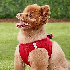 Frisco Small Breed Soft Vest Step In Back Clip Dog Harness, Red, 15 to 18-in chest slide 2 of 6