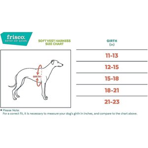 Frisco Small Breed Soft Vest Step In Personalized Back Clip Dog Harness, Blue, 12 to 15-in chest