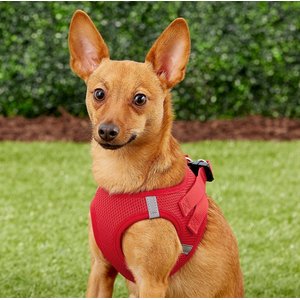 Frisco Small Breed Soft Vest Step In Personalized Back Clip Dog Harness, Red, 15 to 18-in chest