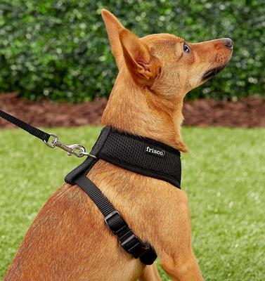 Show full view: Frisco Small & Medium Breed Soft Mesh Personalized Back Clip Dog Harness, 14 to 18.5-in chest, Black slide 8 of 9