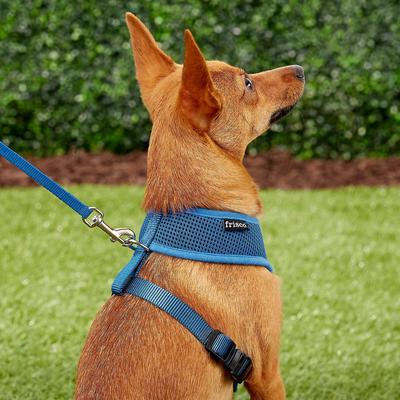 Show full view: Frisco Small & Medium Breed Soft Mesh Personalized Back Clip Dog Harness, 14 to 18.5-in chest, Blue slide 7 of 8