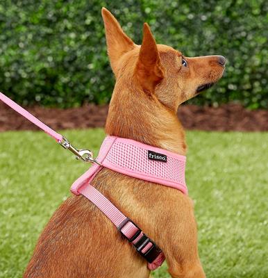 Show full view: Frisco Small & Medium Breed Soft Mesh Personalized Back Clip Dog Harness, 18.5 to 24-in chest, Pink slide 7 of 8