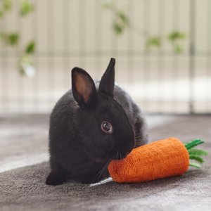 Frisco Small Pet Carrot Loofah Chew Toy