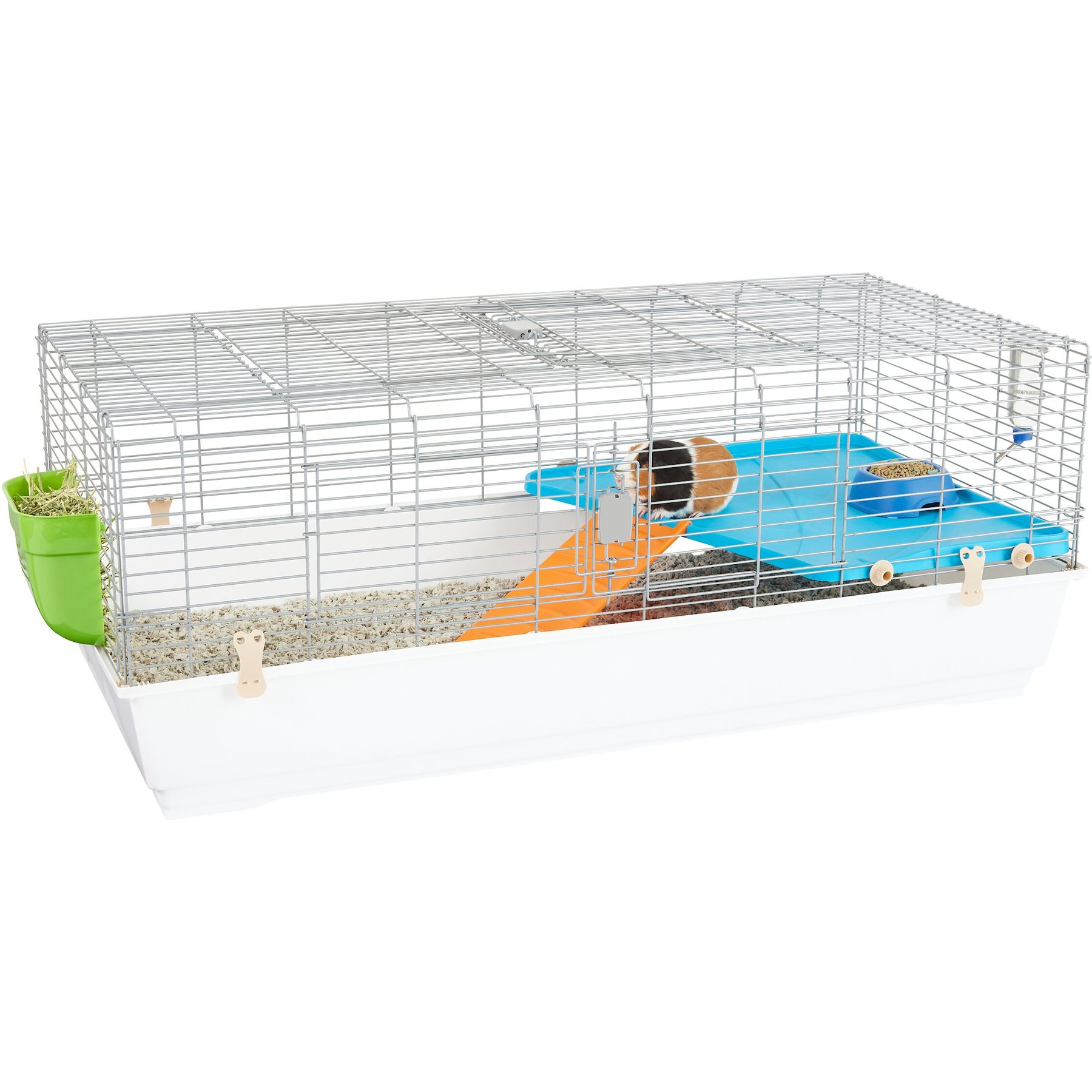 Petsmart How Much Does A Guinea Pig Cost With All The Supplies