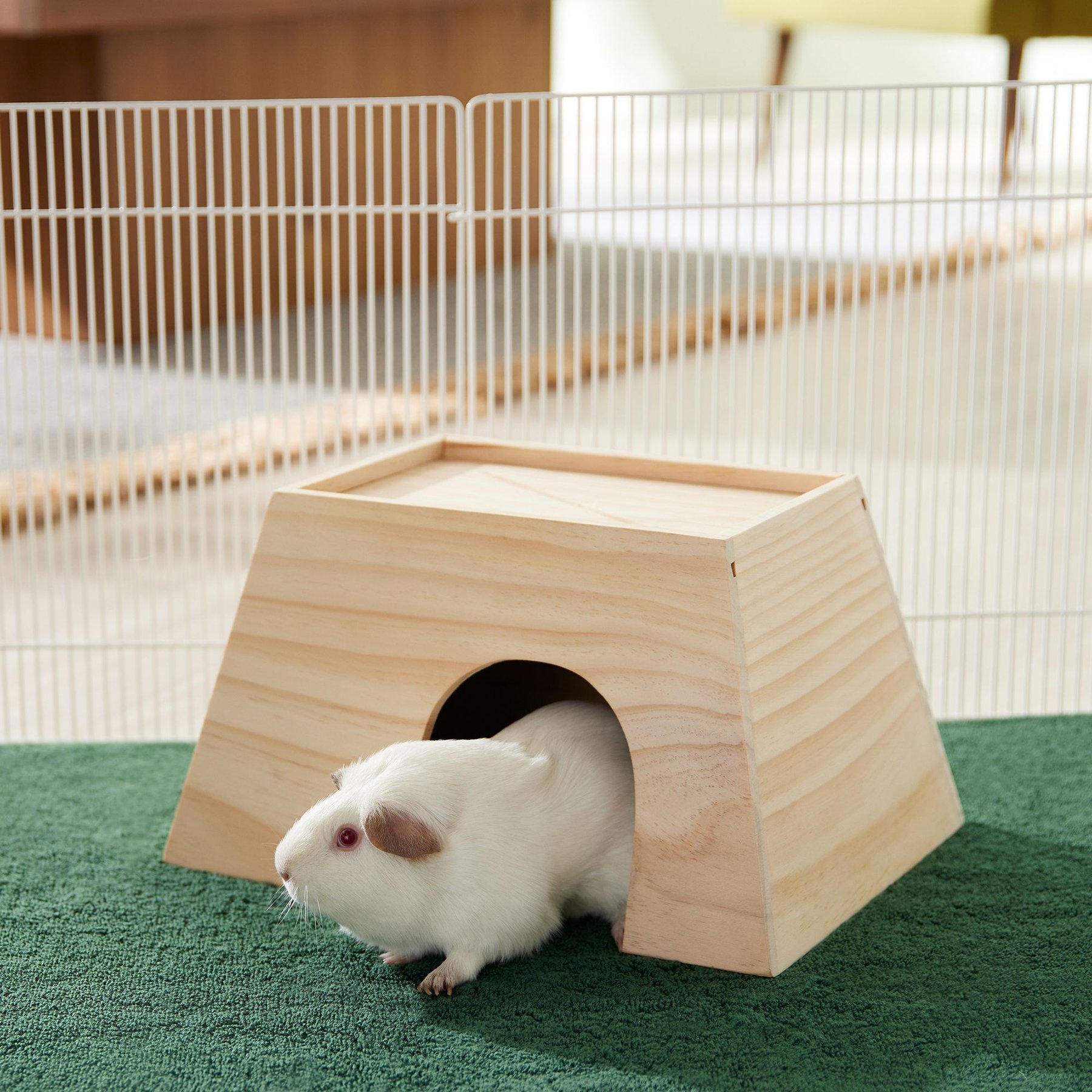 Little Adventures Guinea Pig Playground Diy Guinea Pig Tunnels And