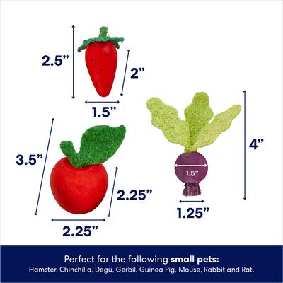 Show full view: Frisco Small Pet Wooden Fruit Assortment Chew Toy slide 2 of 5
