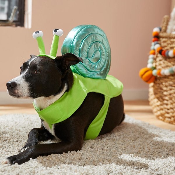 Frisco Snail Dog & Cat Costume