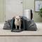 Show in main carousel: Frisco Soft Double Sided Expandable Airline Compliant Dog & Cat Carrier, Gray, Medium slide 1 of 8