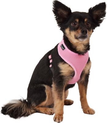 Show full view: Frisco Soft Mesh Back Clip Dog Harness, Pink, Small: 12 to 16.5-in chest slide 5 of 8