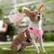 Show in main carousel: Frisco Soft Mesh Back Clip Dog Harness, Pink, Small: 12 to 16.5-in chest slide 7 of 8