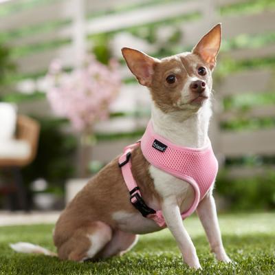 Show full view: Frisco Soft Mesh Back Clip Dog Harness, Pink, Small: 12 to 16.5-in chest slide 7 of 8