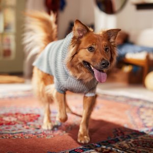 Frisco Soft Multi Stripe Ombre Dog & Cat Hooded Sweater, Gray, X-Large