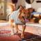Show in main carousel: Frisco Soft Multi Stripe Ombre Dog & Cat Hooded Sweater, Gray, X-Large slide 6 of 8