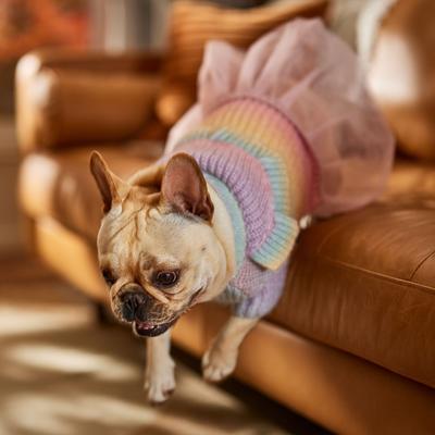Show full view: Frisco Soft Multi Stripe Ombre Dog & Cat Sweater Dress, Medium slide 7 of 9
