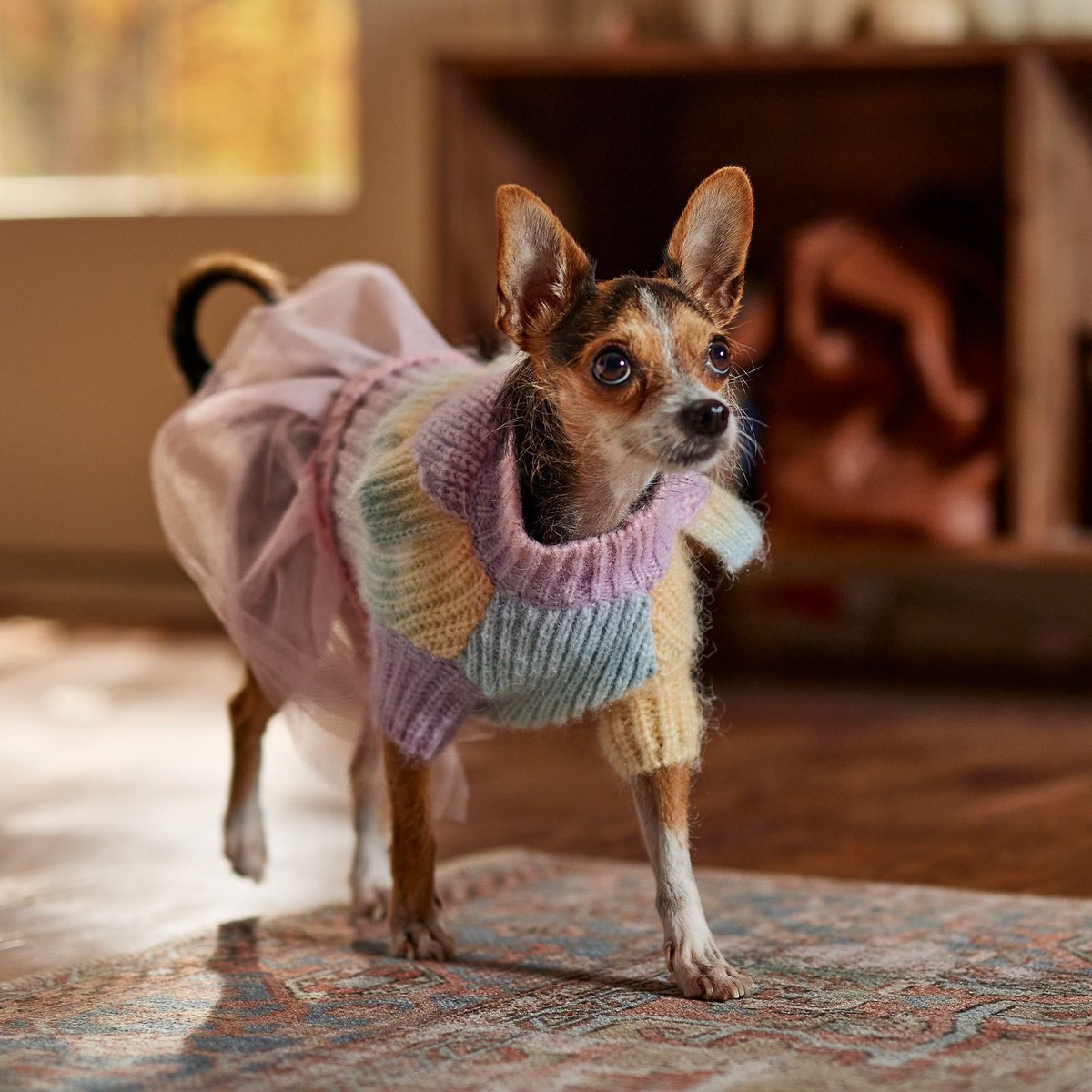 Frisco Striped Dog & Cat Sweater Dress