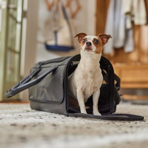 Frisco Soft-Sided Airline Compliant Dog & Cat Carrier, Black