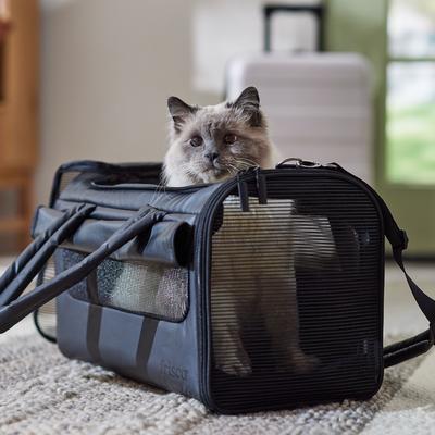 Show full view: Frisco Soft-Sided Airline Compliant Dog & Cat Carrier, Black slide 8 of 11