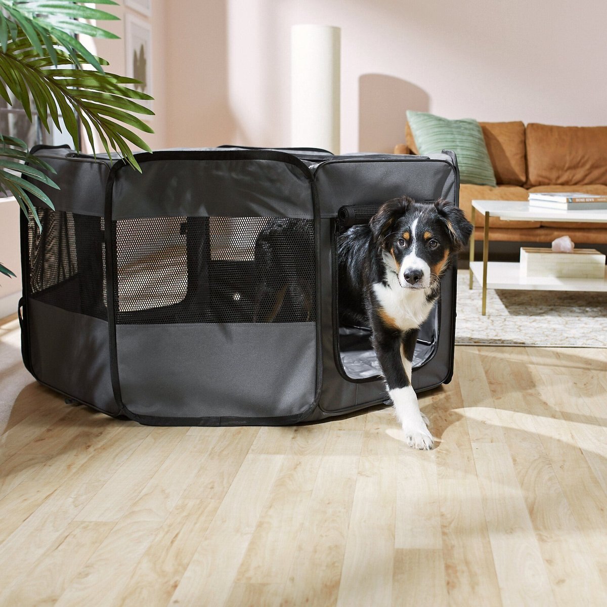 Frisco Soft-Sided Dog, Cat & Small Pet Exercise Playpen, 45-in L x 45-in W x 24-in H