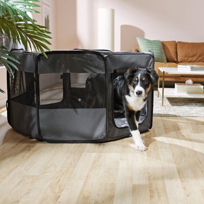 Frisco Frisco Soft-Sided Dog, Cat & Small Pet Exercise Playpen, 45-in L x 45-in W x 24-in H