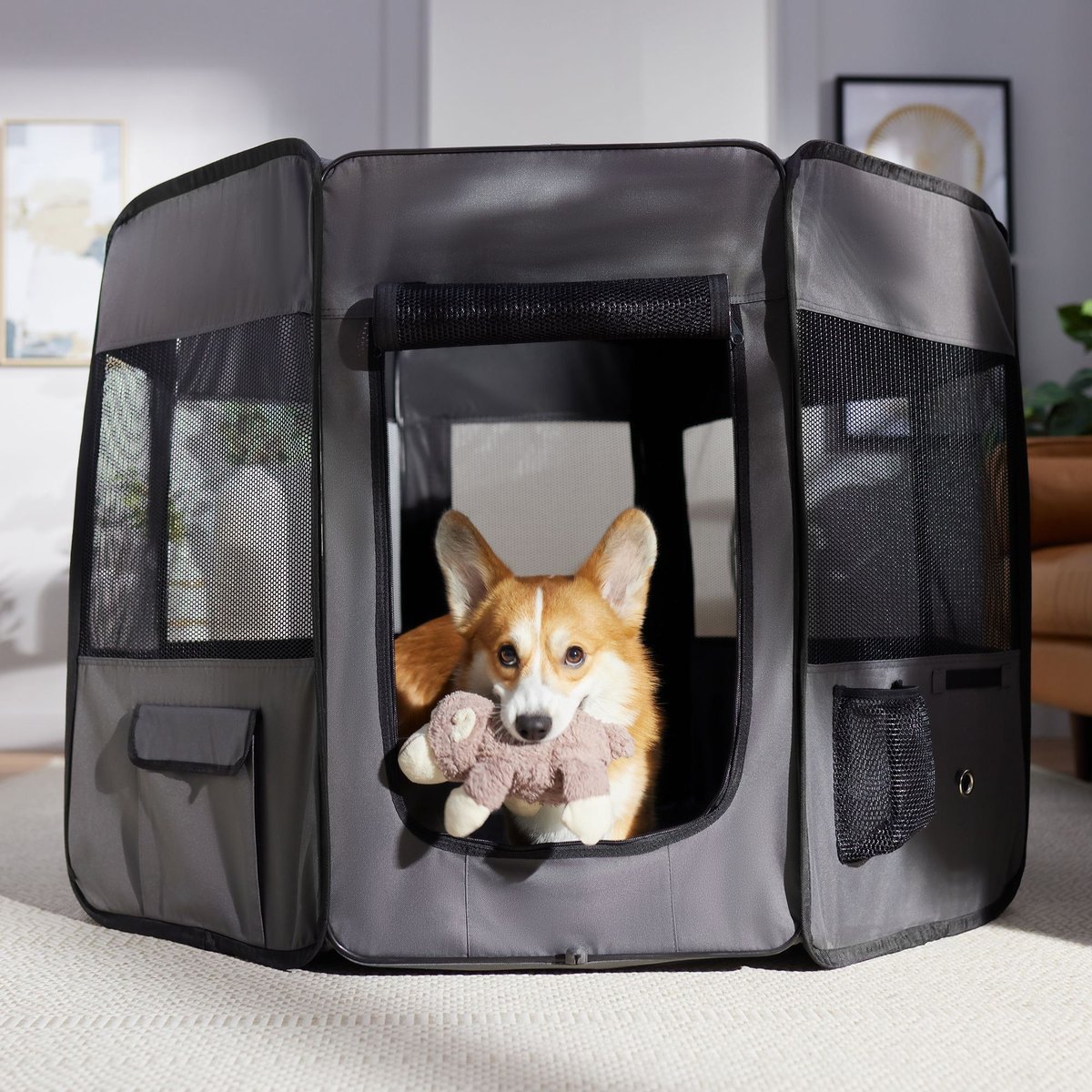 Frisco Soft-Sided Dog, Cat & Small Pet Exercise Playpen, 48-in L x 48-in W x 32-in H