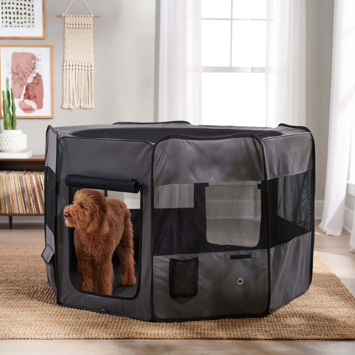 Frisco Soft-Sided Dog, Cat & Small Pet Exercise Playpen, 62-in L x 62-in W x 36-in H
