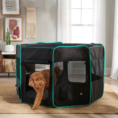 Frisco Frisco Soft-Sided Dog, Cat & Small Pet Exercise Playpen, Black/Teal, 62-in L x 62-in W x 36-in H