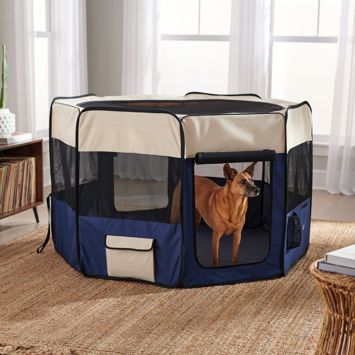 Frisco Soft-Sided Dog, Cat & Small Pet Exercise Playpen, Cream/Navy, 62-in L x 62-in W x 36-in H