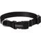 Show in main carousel: Frisco Solid Nylon Dog Collar, Black, XS: 8 to 12-in neck, 5/8-in W slide 1 of 10