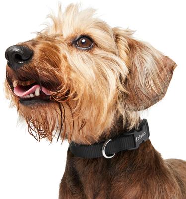 Show full view: Frisco Solid Nylon Dog Collar, Black, XS: 8 to 12-in neck, 5/8-in W slide 5 of 10