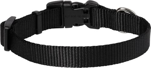 Show full view: Frisco Solid Nylon Dog Collar, Black, XS: 8 to 12-in neck, 5/8-in W slide 3 of 10