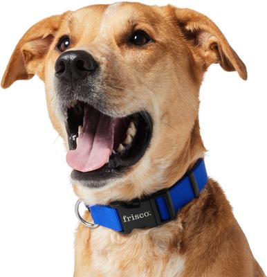Show full view: Frisco Solid Nylon Dog Collar, Blue, Large: 18 to 26-in neck, 1-in wide slide 4 of 9