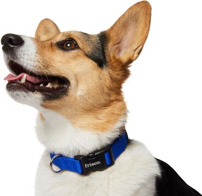 Show full view: Frisco Solid Nylon Dog Collar, Blue, Med: 14 to 20-in neck, 3/4-in W slide 4 of 9